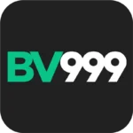 bv999-official-logo