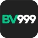 bv999-official-logo